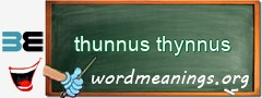 WordMeaning blackboard for thunnus thynnus